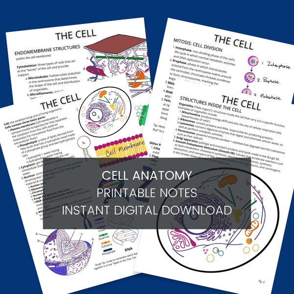 Cell Anatomy Printable Notes, Anatomy Coloring Notes, Biology Notes Cell Anatomy