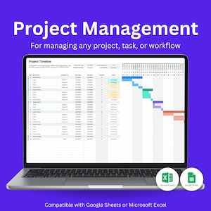 Modello di gestione del progetto Excel, foglio di calcolo per la gestione del progetto, diagramma di Gantt Excel, foglio di calcolo Google per la gestione del progetto, modello di piano di progetto