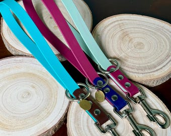 May include: Three dog leashes in turquoise, burgundy, and light green with silver swivel clips and gold-toned accents. The leashes are on a wooden surface.