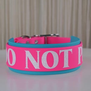 2-Inch Custom Biothane® Dog Collar | Double Layer | Waterproof | Adjustable Fit | Pet Collar | Leather Alternative |