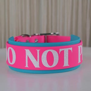 Puede incluir: Un collar para perros de color rosa brillante con la inscripción "DO NOT" en letras plateadas con purpurina. Tiene un borde azul turquesa y herrajes plateados. Diseñado para mascotas.