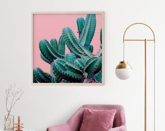 Pink Cactus Print: Modern Desert Photography Wall Art