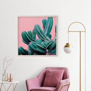 ROSA KAKTUS Wandkunst | Poster | Kakteen Sukkulente | Fotografie | Mexikanische | Wüstenprint | Botanische | Edgy Cool Statement Stück Maximalist
