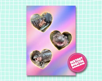 May include: Three images of baby hippos in heart-shaped frames with a pink and purple gradient background. The hippos are in different poses, one is swimming, one is looking at the camera, and one is opening its mouth wide.