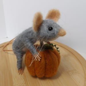 Mouse on a Pumpkin, Needle Felted Mouse, Collectible Mouse, Autumn Decoration, Thanksgiving Decoration