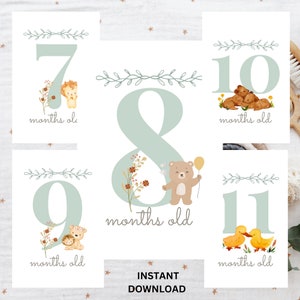 Baby First Year Milestone Cards | Baby Shower Gift | Gift for Parent ...