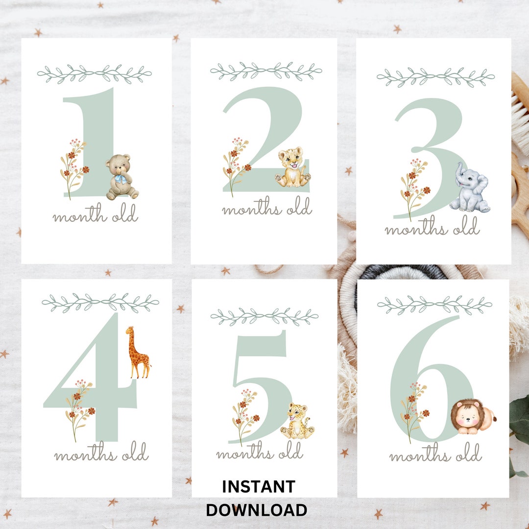 Baby First Year Milestone Cards | Baby Shower Gift | Gift for Parent ...