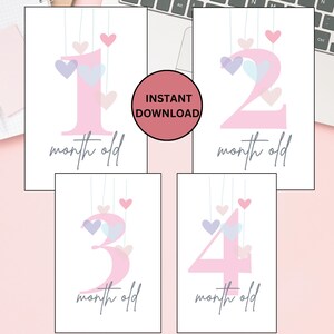 Cartes d'étape marquant la première année d'un bébé | Cadeau baby shower | Cadeau pour parent, 12 premiers mois, accessoire photo, imprimable, rose et gris !