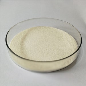 Water Soluble Chitosan 10g