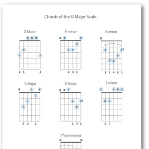 The 7 Chords of the G Major Key - Guitar Diagrams, Guitar Teacher Resources, Guitar Theory, Music Theory, Learn Scales, Guitar Students