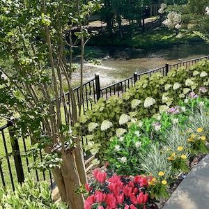 Landscape Design Full to Partial Sun Zone 8-10