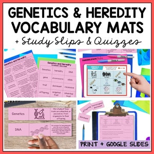 May include: A set of printable educational resources for teaching genetics and heredity. The set includes vocabulary mats, study slips, and quizzes. The resources feature colourful illustrations and diagrams, including a microscope, DNA double helix, and a family.