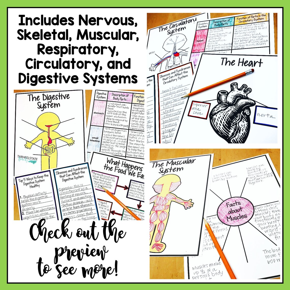 Human Body Systems Research Project | Science Notebook (printable ...