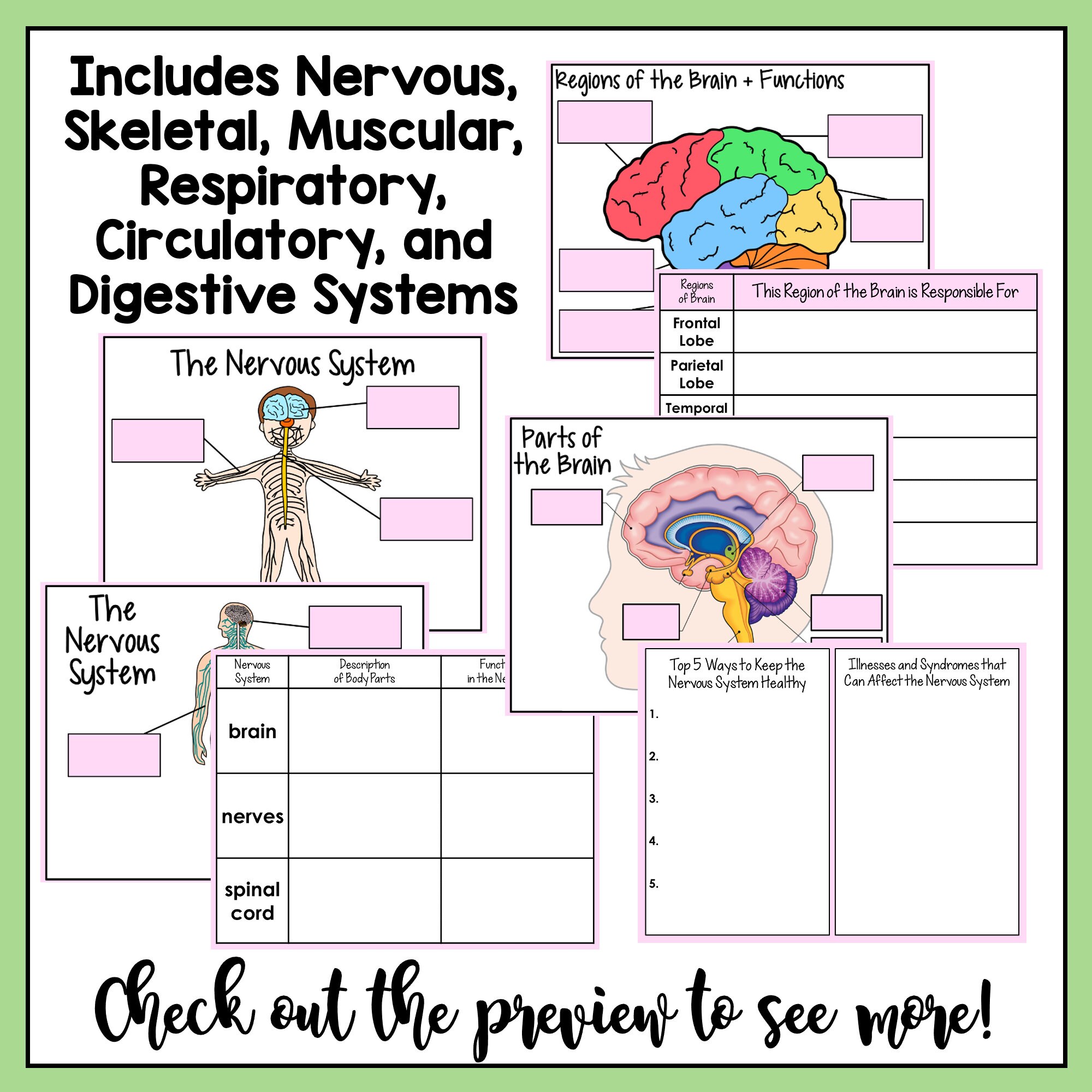 Human Body Systems Research Project | Science Notebook (printable ...