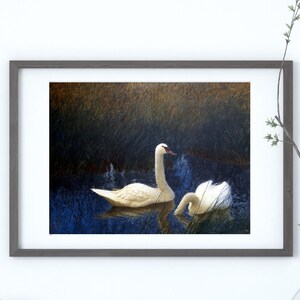 Schwäne im Schilf, Fine Art Print, Vintage Poster, Schöne Malerei, Art Deco Wand dekor, Schwan Landschaft Vögel Wildkunst, Natur Vögel Kunst