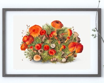 Estudio De Setas, Impresión De Bellas Artes, Cartel De Arte Mural Vintage, Decoración De Pared Amante De Los Hongos, Hermosa Pintura Botánica, Arte Cottagecore, Micología