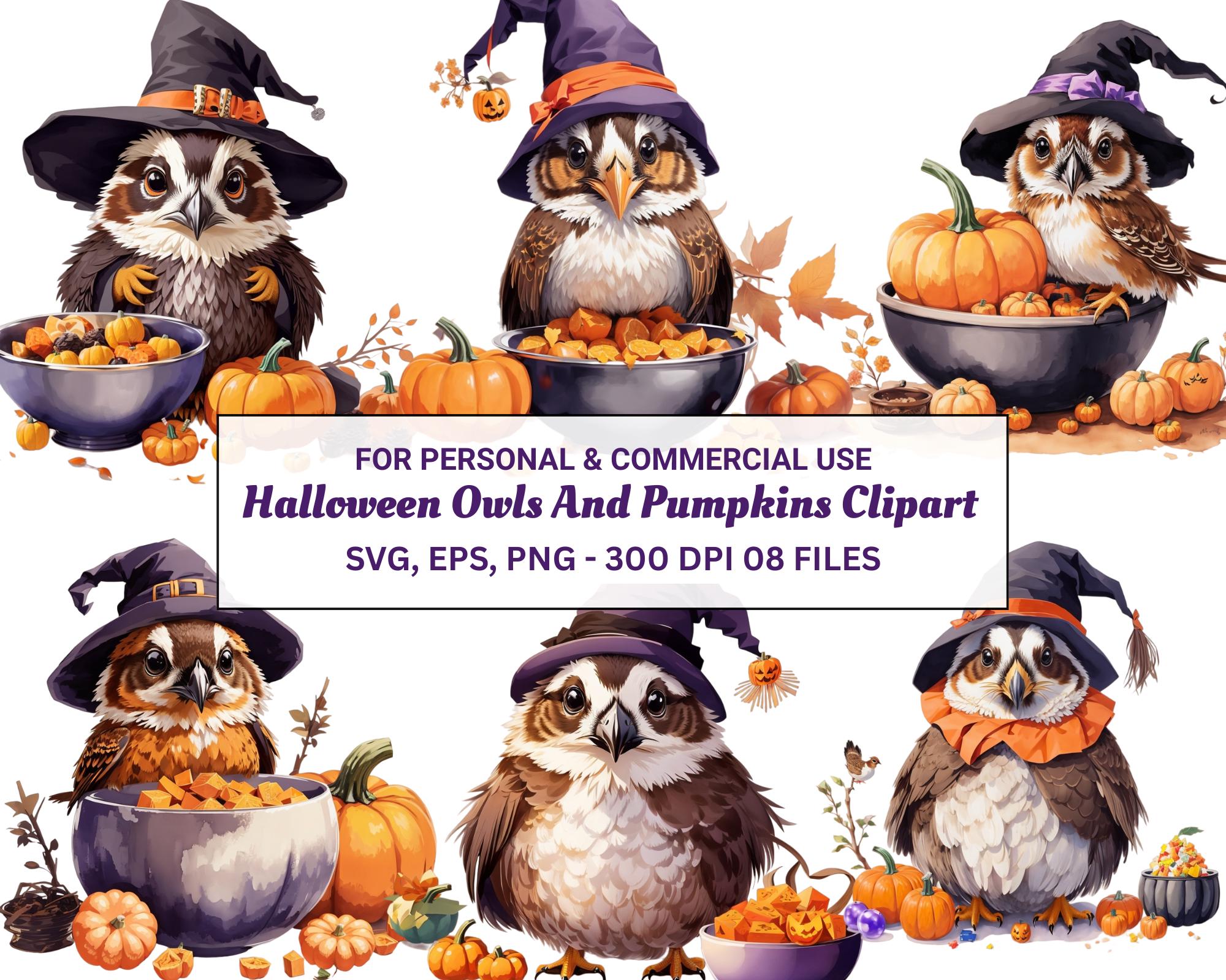 Halloween Owl Svg Bundle, Owl with Pumpkin PNG Clipart, Owl Fall Decor, Halloween Svg Files for Circ