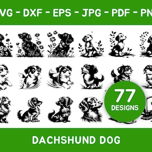 Dachshund Svg, Dog Svg Bundle, Animal Svg Files for Circuit, Dachshund Dog Png Designs, Pet Lover Svg, Puppy Svg, Dog Lover Gift
