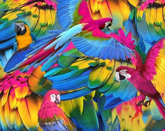 Macaw Parrot Bird fabric - 100% cotton - Skyel -  10483 Feathers - Feather fabric Colorful bird print material Bright bird - Ships NEXT DAY