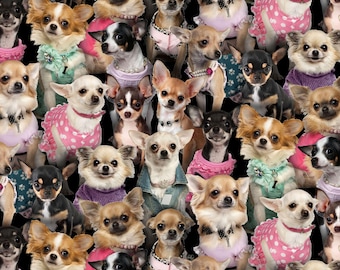Chihuahua fabric - Elizabeth's Studio - 100% Cotton - 707 Multi