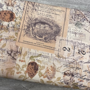 Peut inclure: Tissu d'aspect vintage, orné d'illustrations d'un nid d'oiseau avec des œufs, de notes de musique et d'éléments botaniques. La palette de couleurs comprend des tons beige, marron et crème, avec une écriture manuscrite ajoutant au style ancien. Le tissu porte l'inscription "GROOMBRIDGE AND SONS, 5, PATERNOSTER ROW."