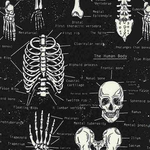 May include: Anatomical chart in black and white, displaying detailed illustrations of the human skeletal system. The chart includes labeled diagrams of bones, such as the skull, rib cage, spine, and hand bones. The text "The Human Body" is also visible.