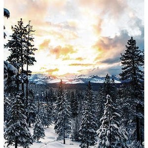 May include: A snowy winter scene with evergreen trees, their branches laden with snow, beneath a colourful sunset. A path cuts through the snow-covered forest, with mountains visible in the distance, creating a serene landscape.