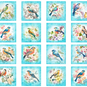 May include: Sixteen square watercolour prints showcasing colourful birds on flowering branches. Each print has a light blue border and a soft, textured background. The birds are depicted in various poses with vibrant plumage.