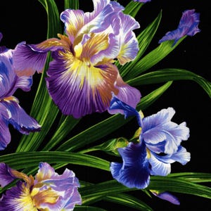 May include: A fabric pattern featuring vibrant purple and yellow iris flowers with long green leaves set against a solid black background. The floral design displays detailed petals in shades of violet, lavender, and bright yellow centres.