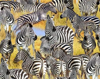 Zebra Fabric - Michael Miller - 100% Cotton - African Safari wilderness - Serengeti Plains - Savanna Dazzle