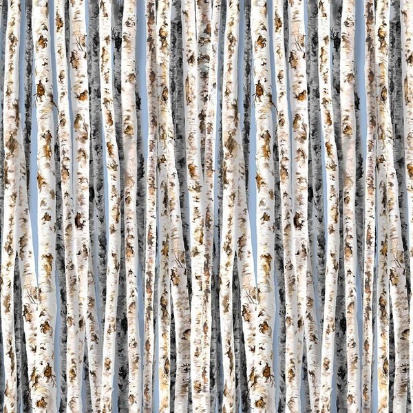 Birch Trees on Blue Sky - Camp Life Collection - 100% Cotton Fabric by Dona Gelsinger for Timeless Treasures