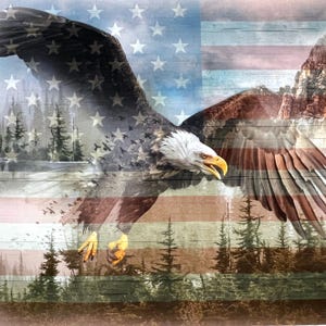 May include: An artistic rendering of an American bald eagle in flight, superimposed over the American flag. The eagle has brown and white feathers, a yellow beak, and is set against a backdrop of a forest and mountains.