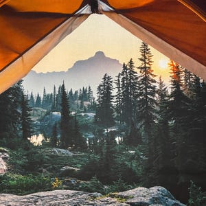 Panneau de tissu de camping 42 3/4" x 29 3/4 - 100 % coton - Hoffman - dormir à la belle étoile - paysage forestier - tente lever de soleil arbres montagnes