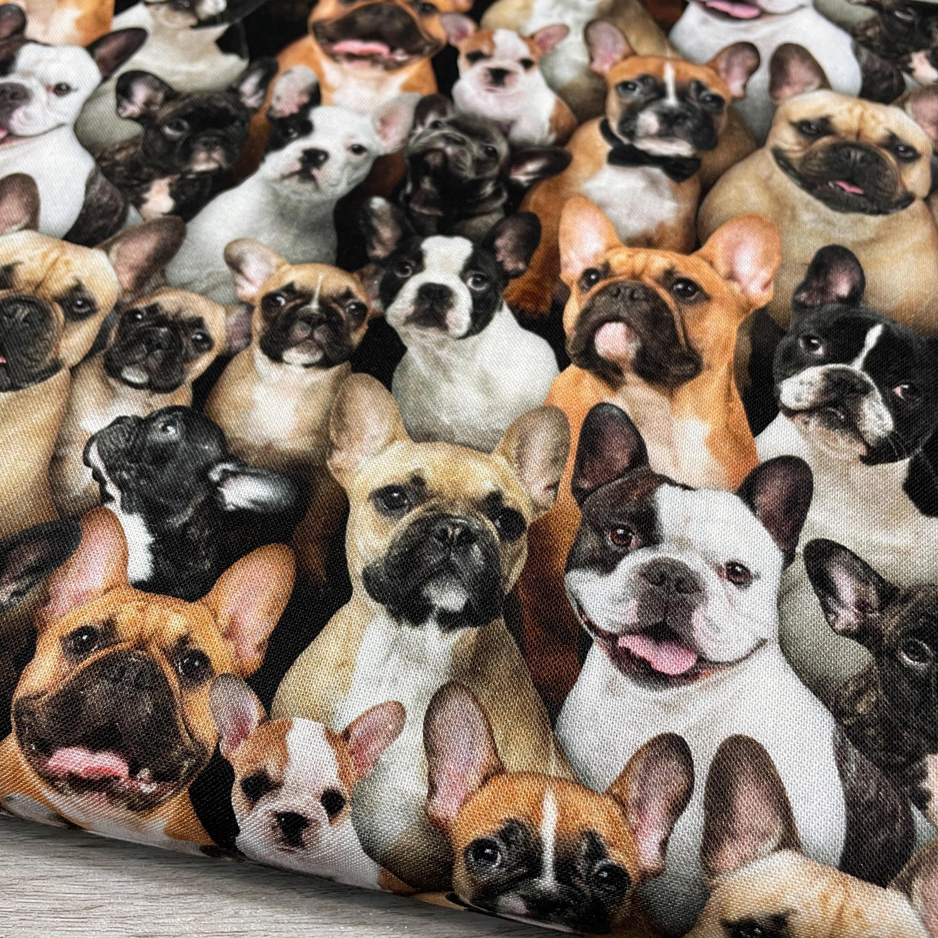 Frenchie Fabric - 687-multi - Elizabeth's Studio - 100% Cotton - Best ...