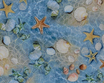 Beach Shell Fabric - 100% Cotton - Ocean Starfish Sea Life Tropical Vacation Scuba Diving Swimming