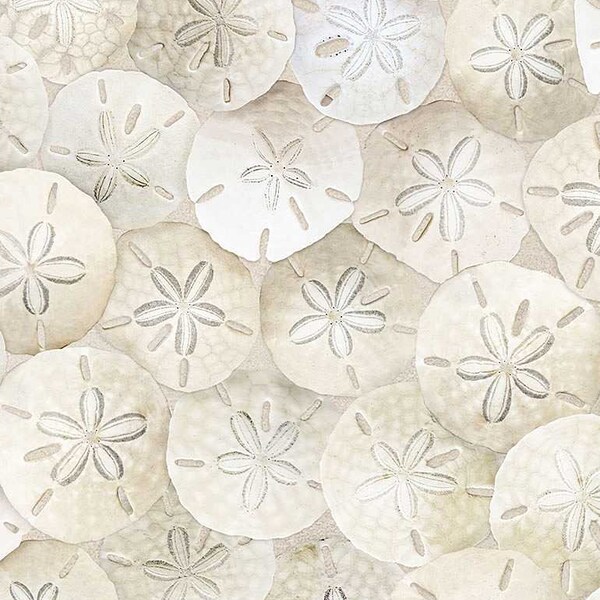 Packed Sand Dollar Fabric - 100% Cotton Fabric - Timeless Treasures - Beach Comber - Ocean theme Beach print Tropical vacation material