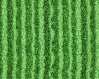 Watermelon Rind - Summer Picnic - Timeless Treasures - 100% Cotton Fabric -  food theme fruit print - FRUIT-CD1138  GREEN
