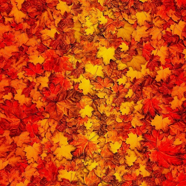 Autumn Glory Ombre Leaves - By Freckle & Lollie - 100% Cotton - Multicolor leaf vibrant nature theme Fall Leaf Leaves Fabric