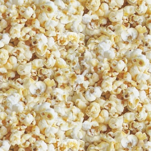 Popcorn Fabric 