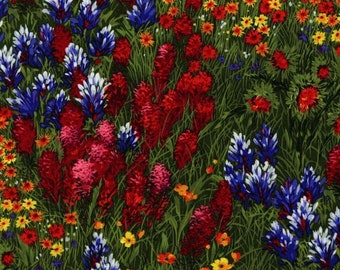 WildFlower Fabric - Michael Miller - 100% Cotton Fabric - Wildflowers Blue Flower Material Texas Flowers CX0400-MULT-D