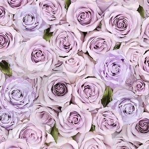 Purple Rose Fabric - Timeless Treasures - 100% Cotton Fabric - Lavender color