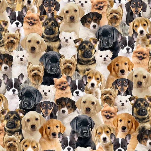 Dog fabric - Packed Realistic Puppies - Timeless Treasures - 100% Cotton Fabric - dog material puppy quilting cotton