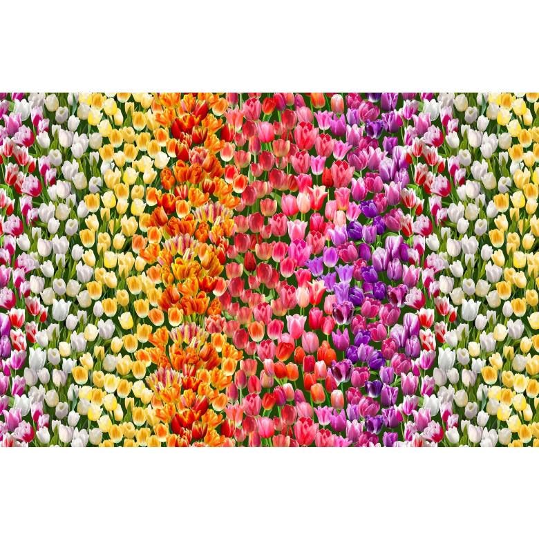 Tulip Fabric - 100% Cotton - DCX12235-MULT-D - Michael Miller - Etsy