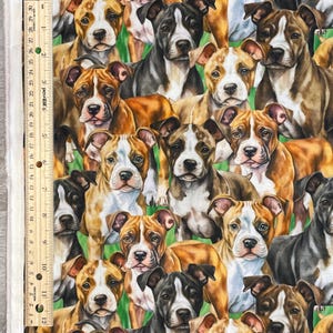 Pitbull Fabric - Foust Exclusive Print - 100% Cotton - David Textiles