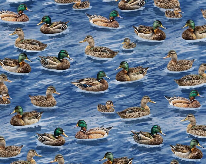 Northern Shoveler Fabric Teal Duck Printed on Beige Cotton Fabric, Duck