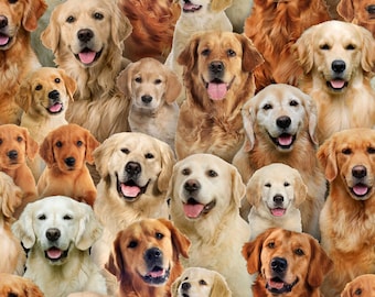 Golden Retriever Fabric - Elizabeth's Studio - 100% Cotton Fabric - Best Friends Dog