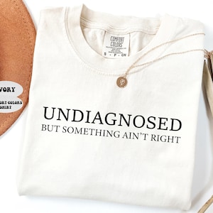 May include: Ivory Comfort Colors shirt with the text "UNDIAGNOSED BUT SOMETHING AIN'T RIGHT" in black. A gold necklace with a pendant is draped on the shirt. A brown hat and dried plant stems are in the background.