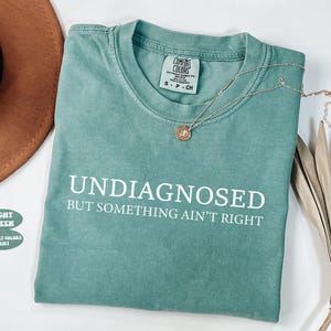 May include: A light green Comfort Colors t-shirt with the text "UNDIAGNOSED BUT SOMETHING AIN'T RIGHT" in white. A gold necklace with a pendant rests on the shirt. A brown hat and dried plant are also in the image.