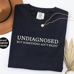 May include: Black crew neck sweatshirt with the text "UNDIAGNOSED BUT SOMETHING AIN'T RIGHT" in white. A gold necklace with a small pendant rests on the shirt. A brown hat and dried palm leaves are also in the image.