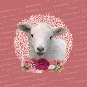 Sheep png, sheep sublimation png, sheep pdf, sheep clipart, cute sheep, lamb
